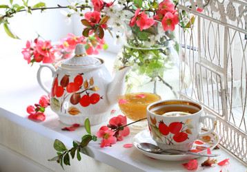 Similar image 21180590