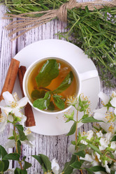 Similar image 21149103