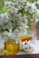 Similar image 21149114