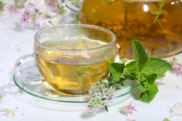 Similar image 21149115