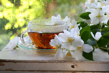 Similar image 21149118