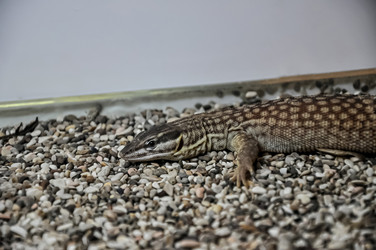 Similar image 21154056