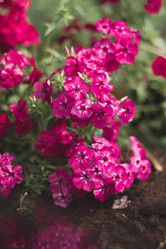 Similar image 21149960