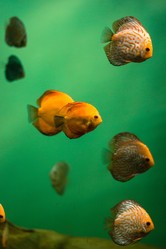 Similar image 21150310