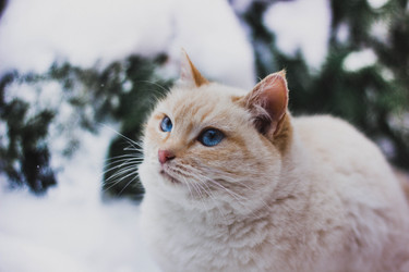 Similar image 21149962