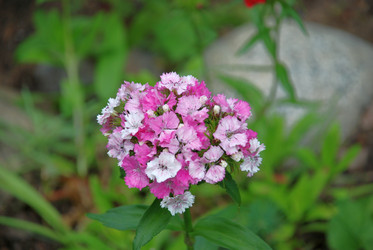 Similar image 21175002