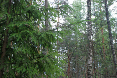 Similar image 21154398