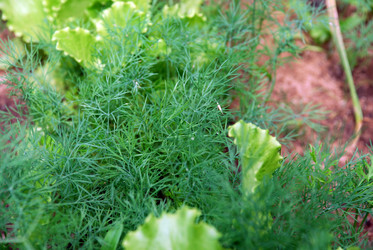 Similar image 21175004