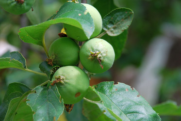 Similar image 21175005