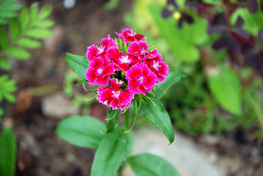 Similar image 21175006