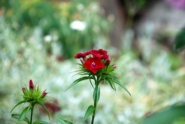 Similar image 21175007