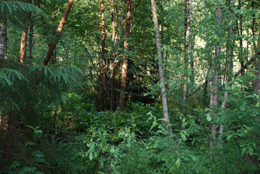 Similar image 21154400