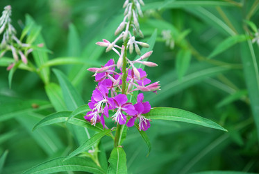 Similar image 21175510