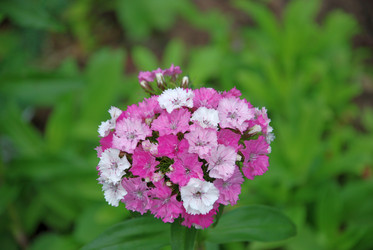 Similar image 21175511