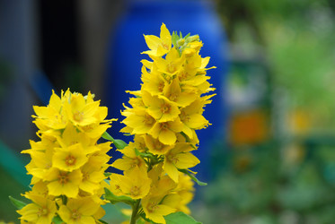 Similar image 21175512