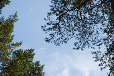 Similar image 21154401