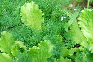 Similar image 21175513