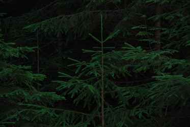 Similar image 21154402