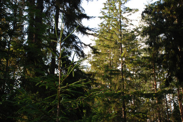 Similar image 21154403