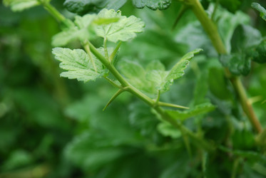 Similar image 21175515