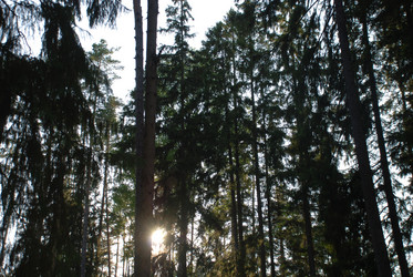 Similar image 21154406