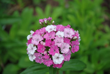 Similar image 21175555