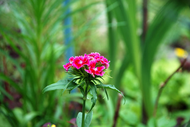 Similar image 21175557