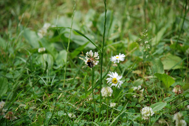 Similar image 21175558