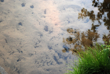 Similar image 21175559