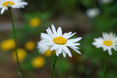 Similar image 21175560