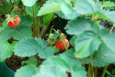 Similar image 21175564