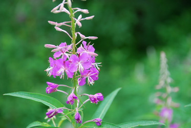 Similar image 21175592