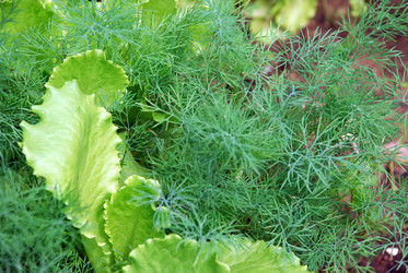 Similar image 21175593