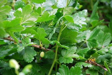 Similar image 21175595