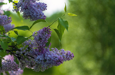 Similar image 21156615