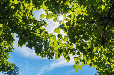 Similar image 21156620