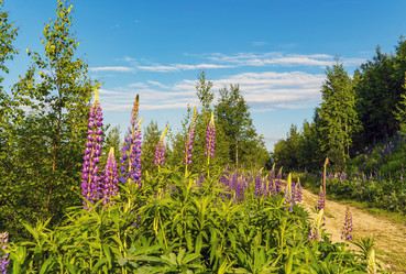 Similar image 21156621