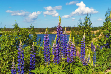 Similar image 21156625