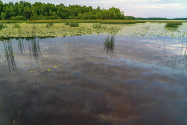 Similar image 21156626