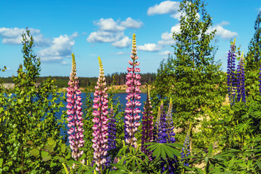 Similar image 21156627