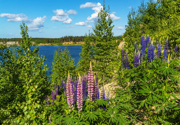 Similar image 21156629