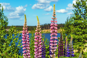 Similar image 21156630