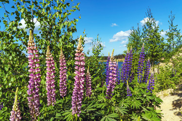 Similar image 21156633