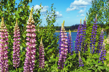 Similar image 21156635