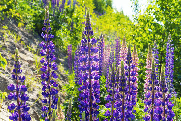 Similar image 21156637