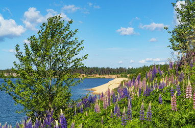 Similar image 21156639