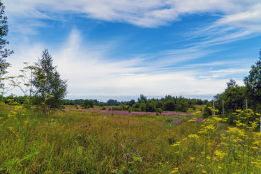 Similar image 21156640