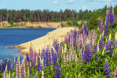 Similar image 21156641