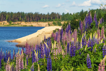 Similar image 21156643