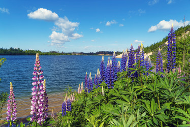 Similar image 21156645